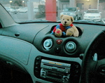 TOKYO_Bear2